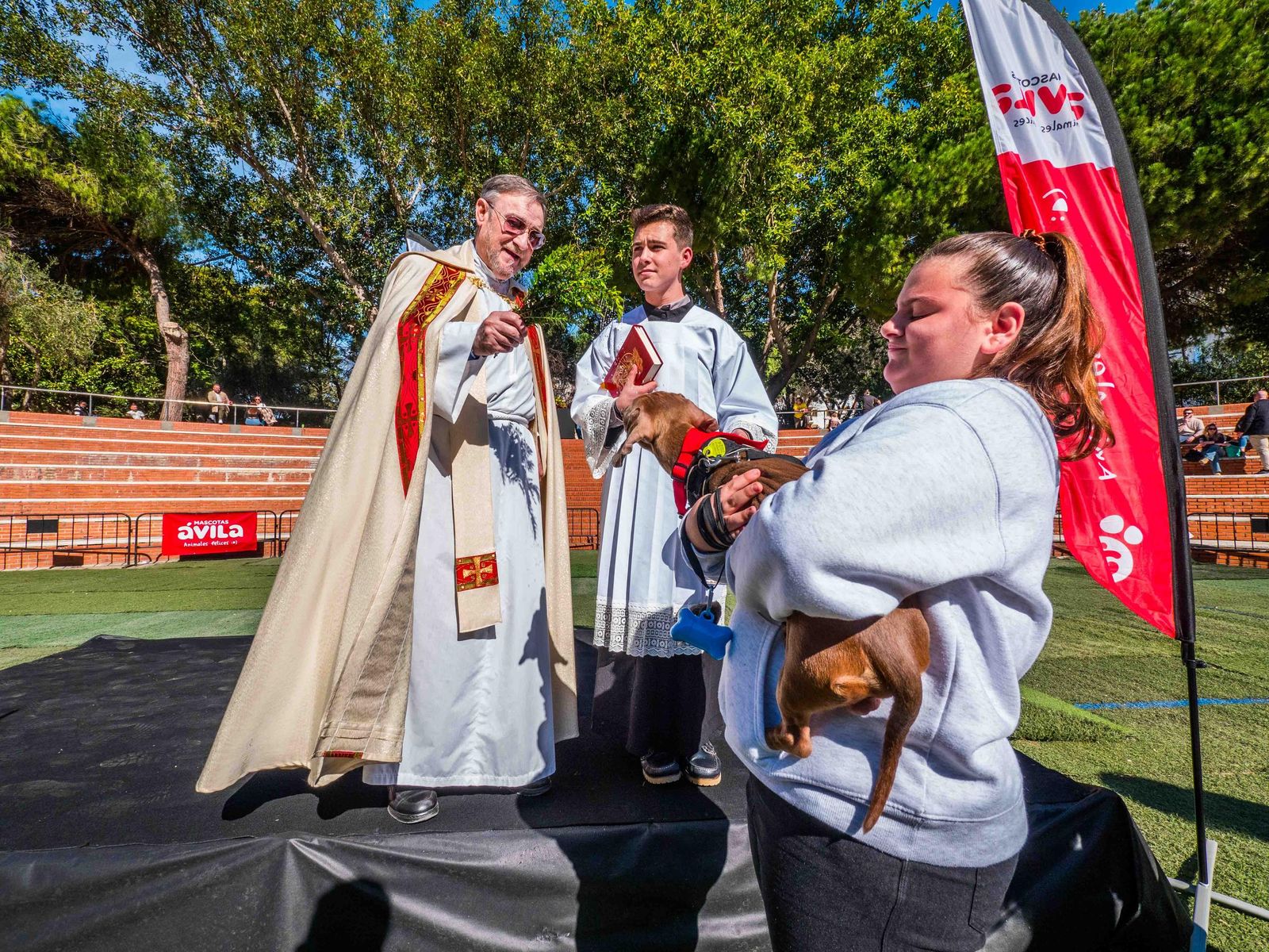 Las imágenes de San Antón 2025 en San Fernando