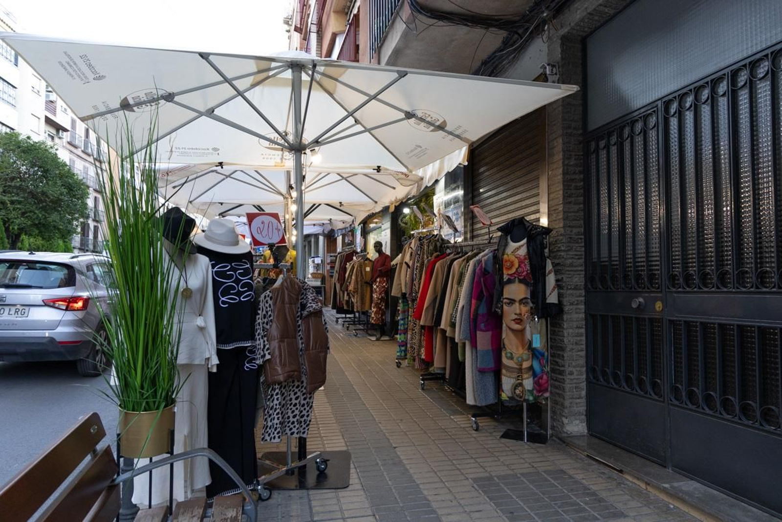 Nueva edición del Día del Stock en Jaén, en imágenes