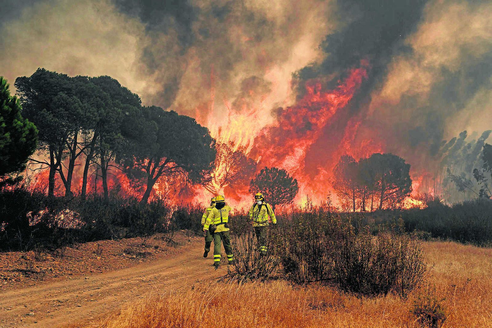 1. Las llamas devoran la arboleda en las inmediaciones de Zalamea la Real.  2. Un helicóptero en plena acción. 3. Dos perros tras una reja, con cuatro miembros del Infoca al fondo. 4. Autoridades en el puesto de mando avanzado, siguiendo las tareas de extinción. 5. Efectivos de la UME en Almonaster.