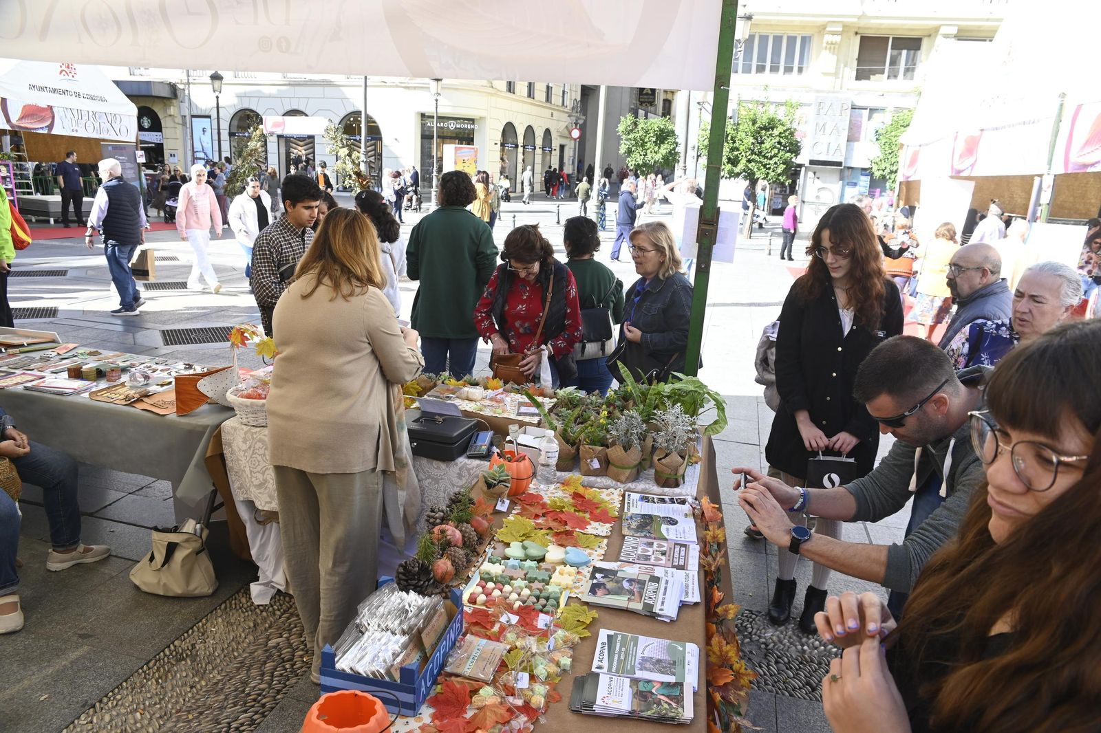 En fotos, el Mercado de Otoño en la Plaza de las Tendillas de Córdoba