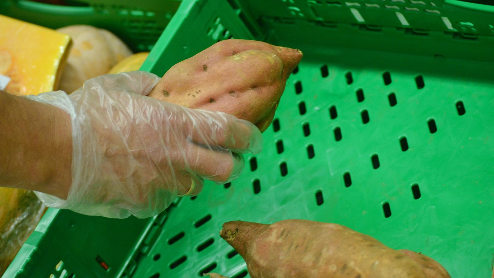 Dos boniatos en primer plano.