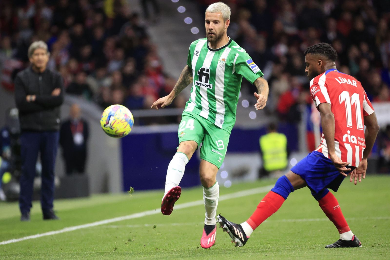 Las fotos del Atlético Madrid - Betis