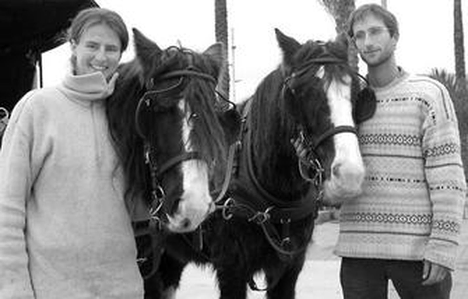 María, Paddy, Mark y Markus ayer en la Rambla de Almería.