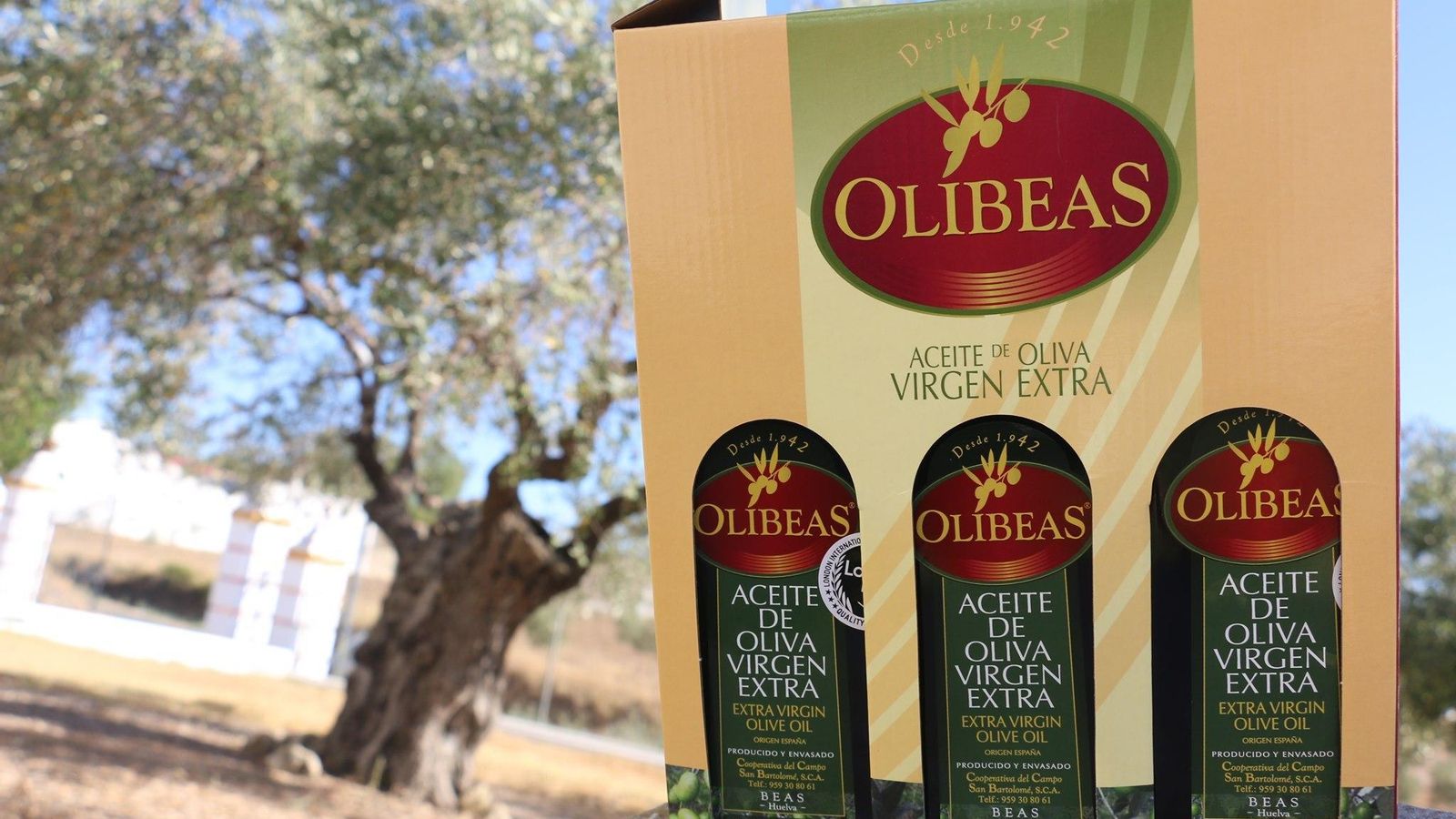 Pack de tres botellas de AOVE Olibeas