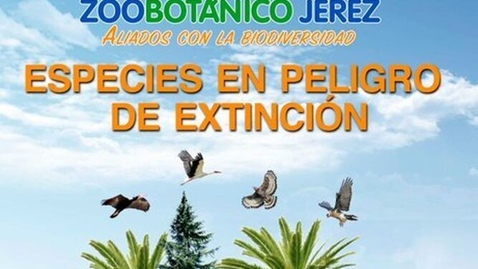 Especies en peligro de extinción en los Claustros