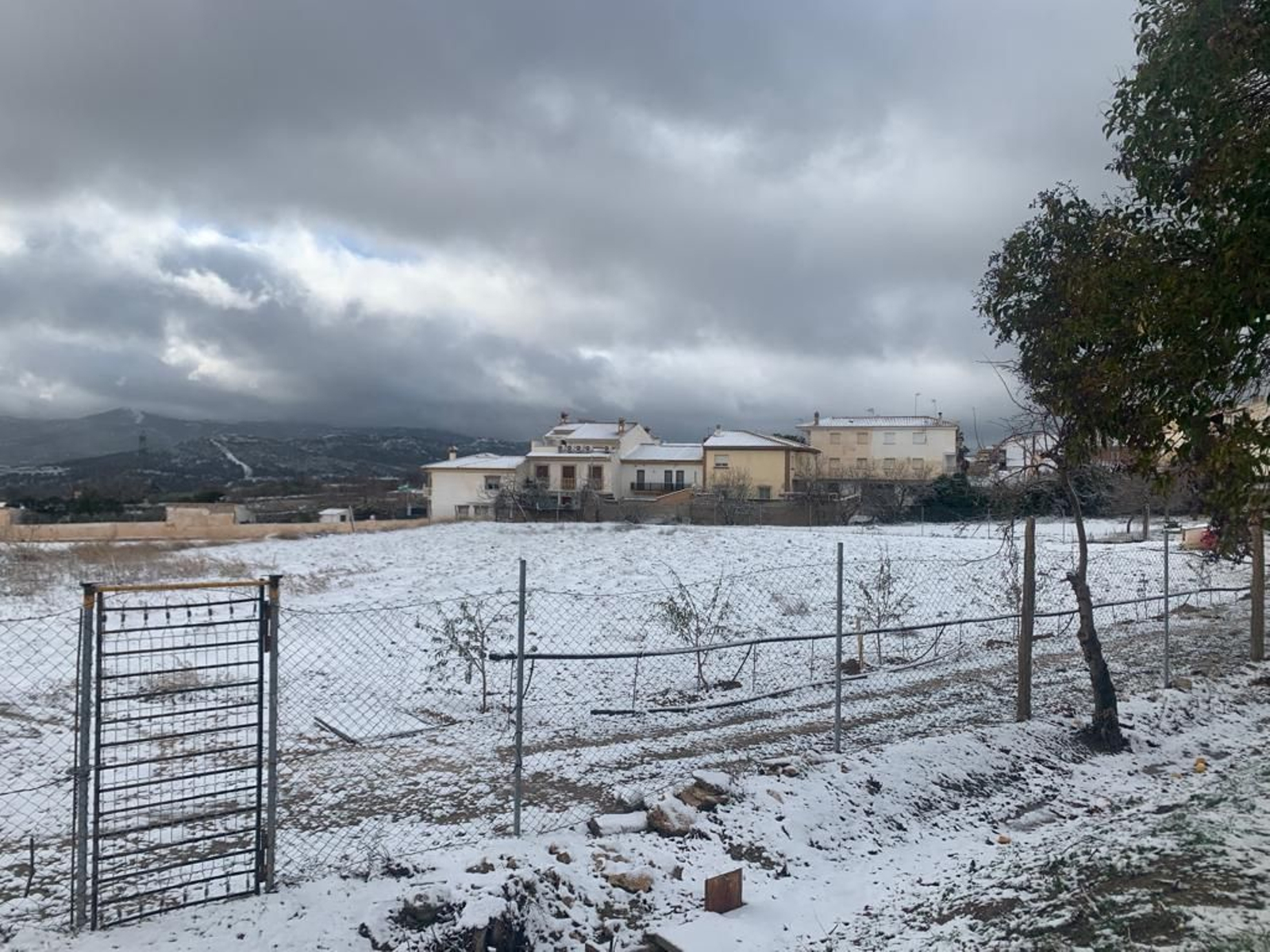 Nieve en Diezma.