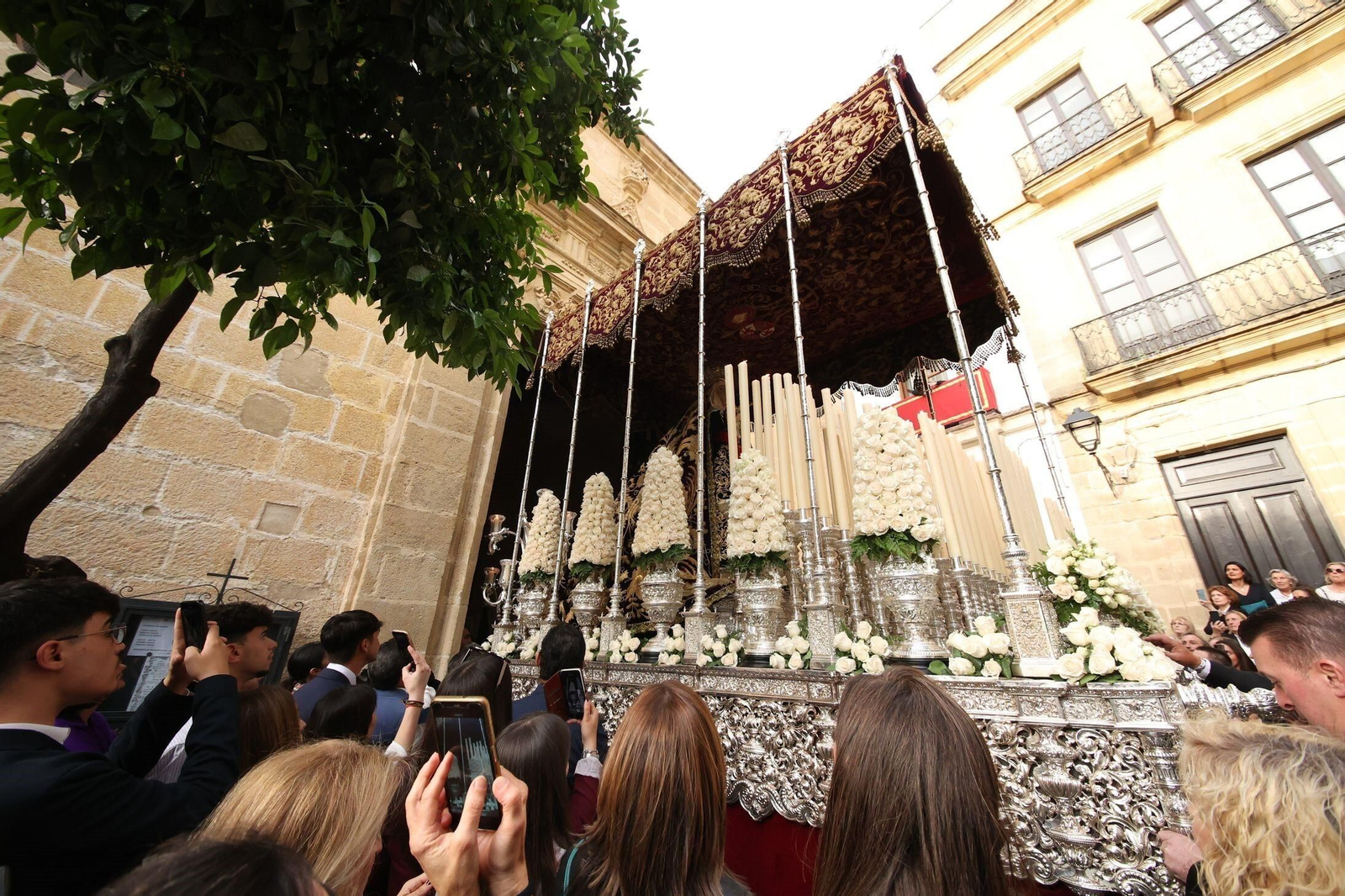 Jueves Santo en Jerez: Imágenes del la Hermandad del Mayor Dolor