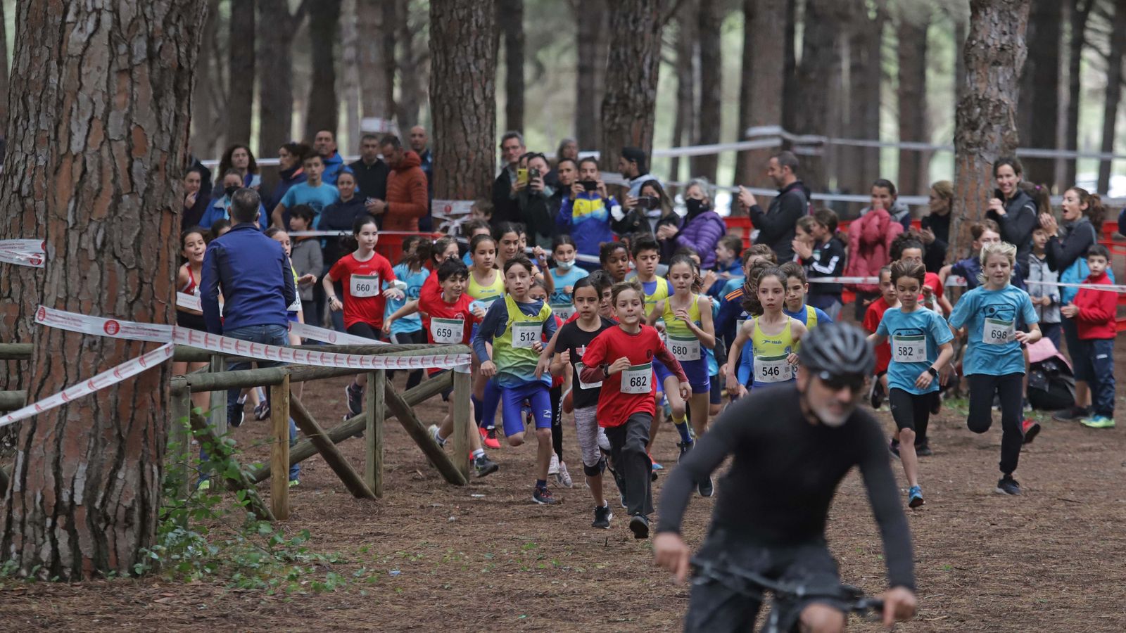 Fotos del III Cross Pinar del Rey en San Roque