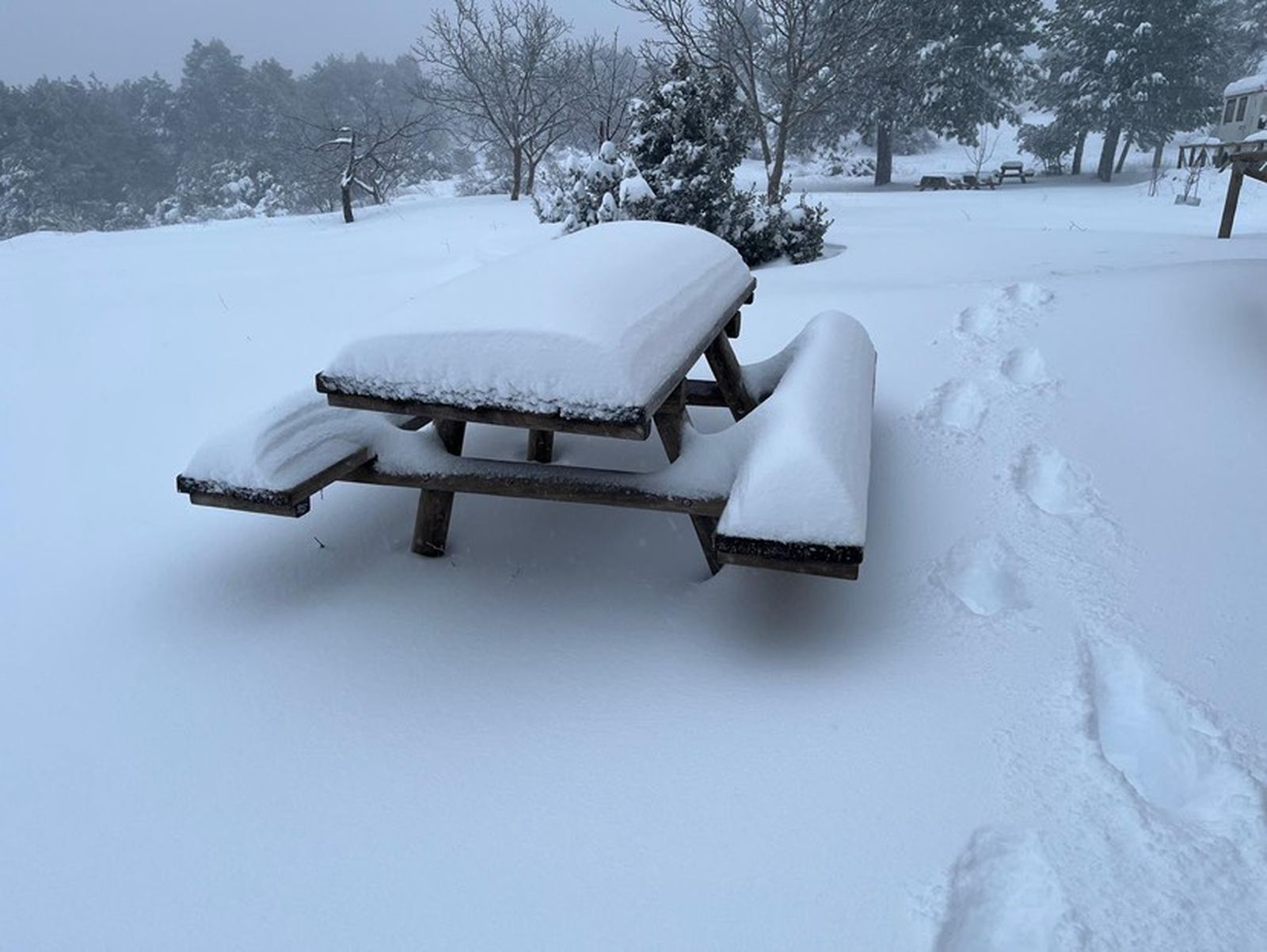 621718635_1196905085947299_7345669097440209256_n