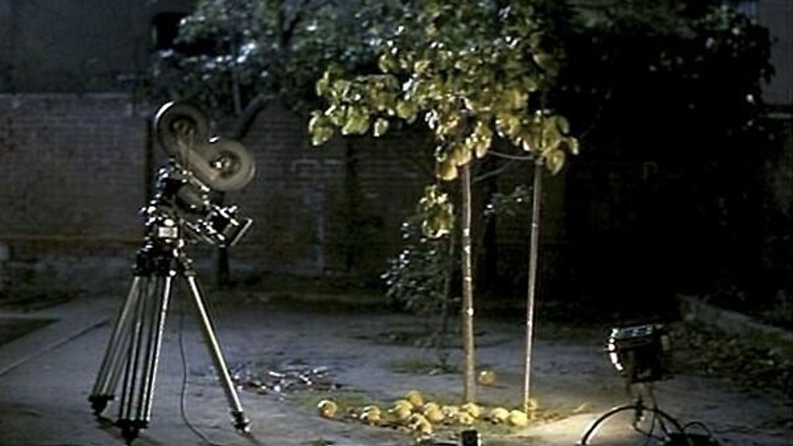 Cine como luz y materia.