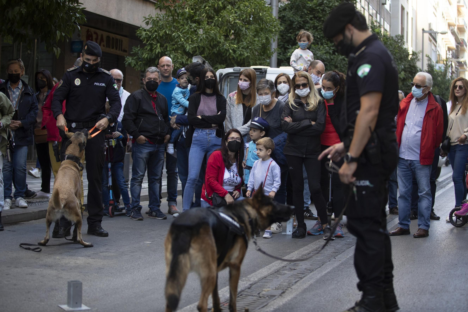 Fotos: La vuelta del Día sin Coche de Granada en imágenes