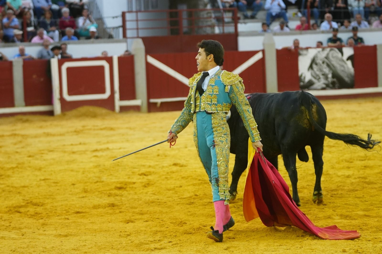 El mano a mano de los novilleros José Antonio de Gracia y El Candela en Pozoblanco, en imágenes