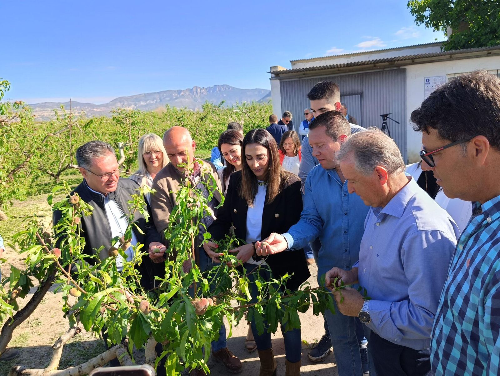 La consejera Sara Rubira visita uno de los campos de cultivo de frutales dañados en Yechar.
