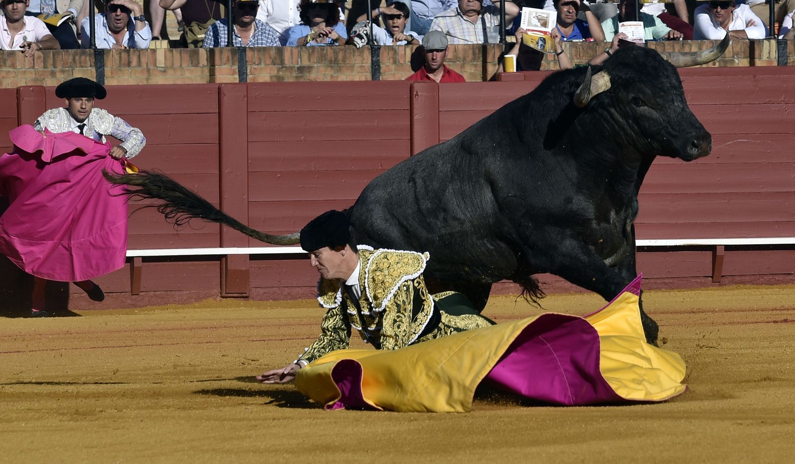 La 14ª de abono en la Real Maestranza de Sevilla, en imágenes