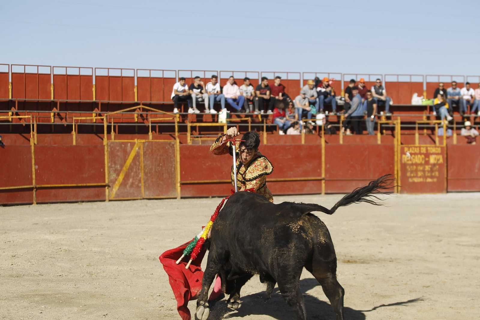 Fotogalería Novillada Fiestas de Abrucena