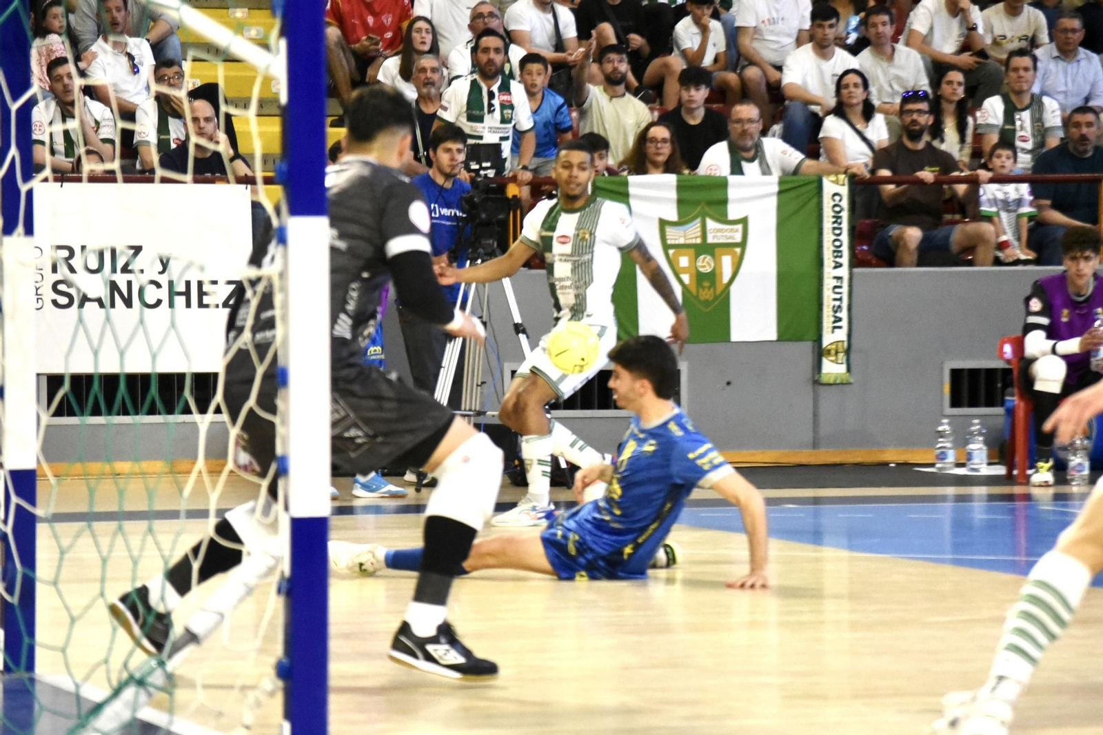 Las mejores fotos del ambiente en Vista Alegre para el Córdoba Futsal - Peñíscola