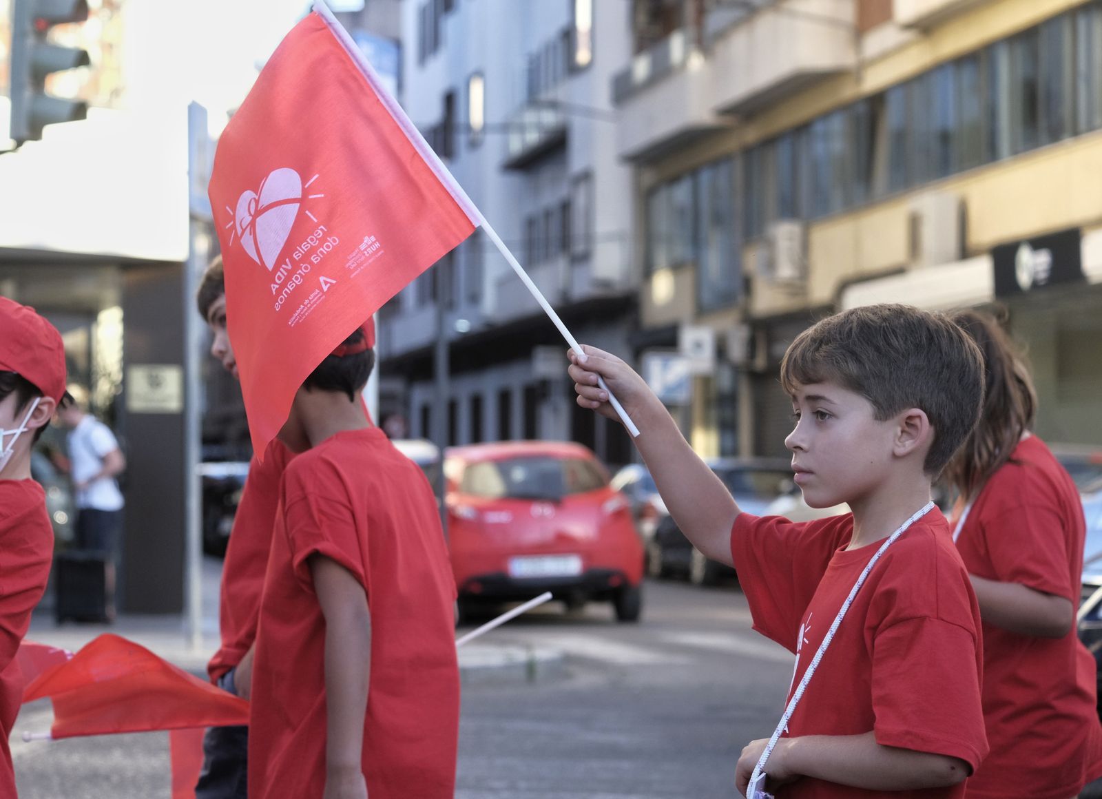 La Marcha por la Donación de Órganos de Córdoba, en imágenes