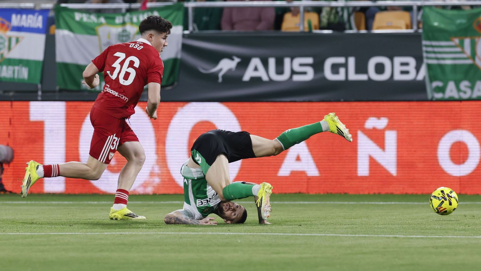 Oso se escapa de un Aitor Ruibal incapaz de contenerlo.