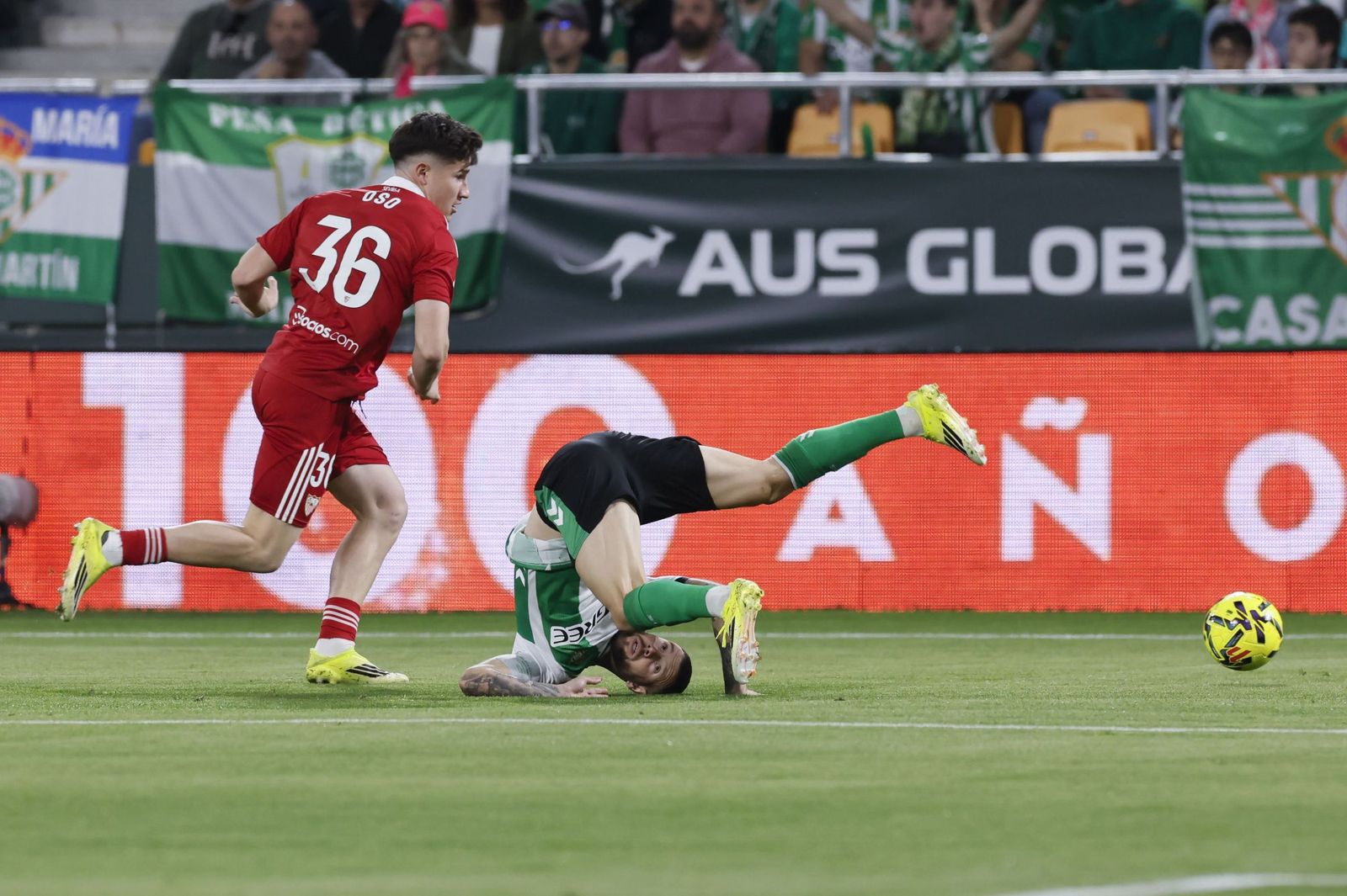 Oso se escapa de un Aitor Ruibal incapaz de contenerlo.