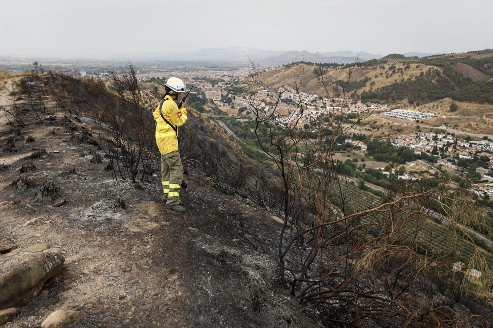 Las imágenes de la Fuente de la Bicha de Granada tras las llamas