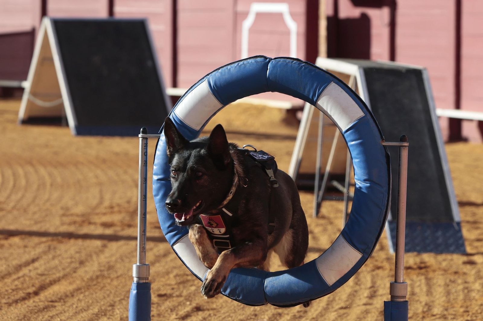 Las imágenes de la espectacular exhibición de la Policía Nacional en la Maestranza