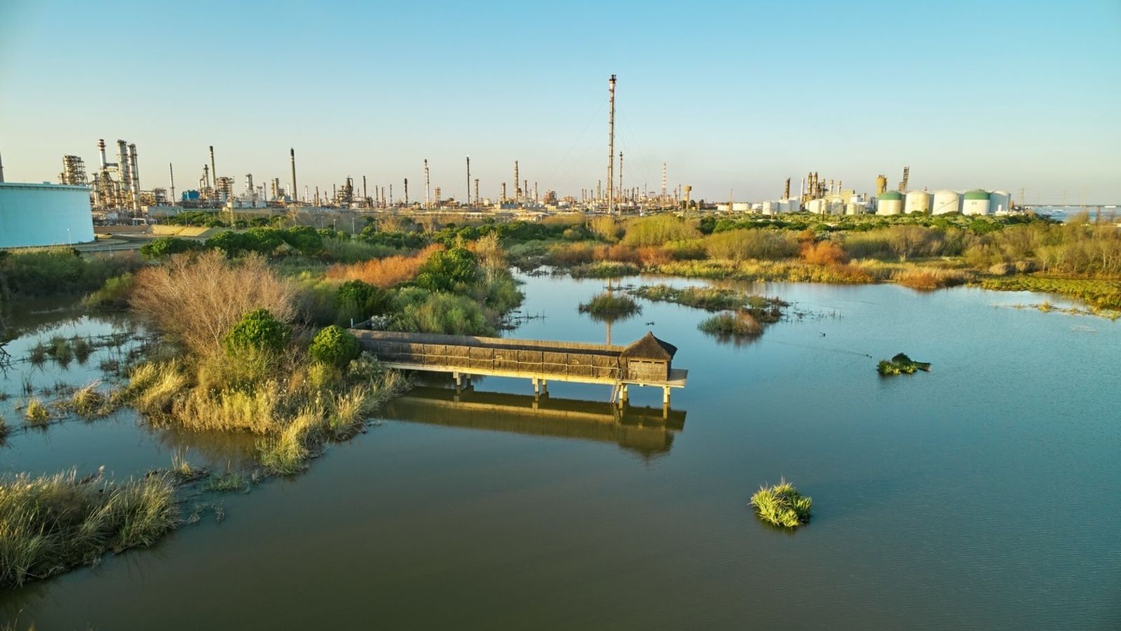 Laguna Primera de Palos