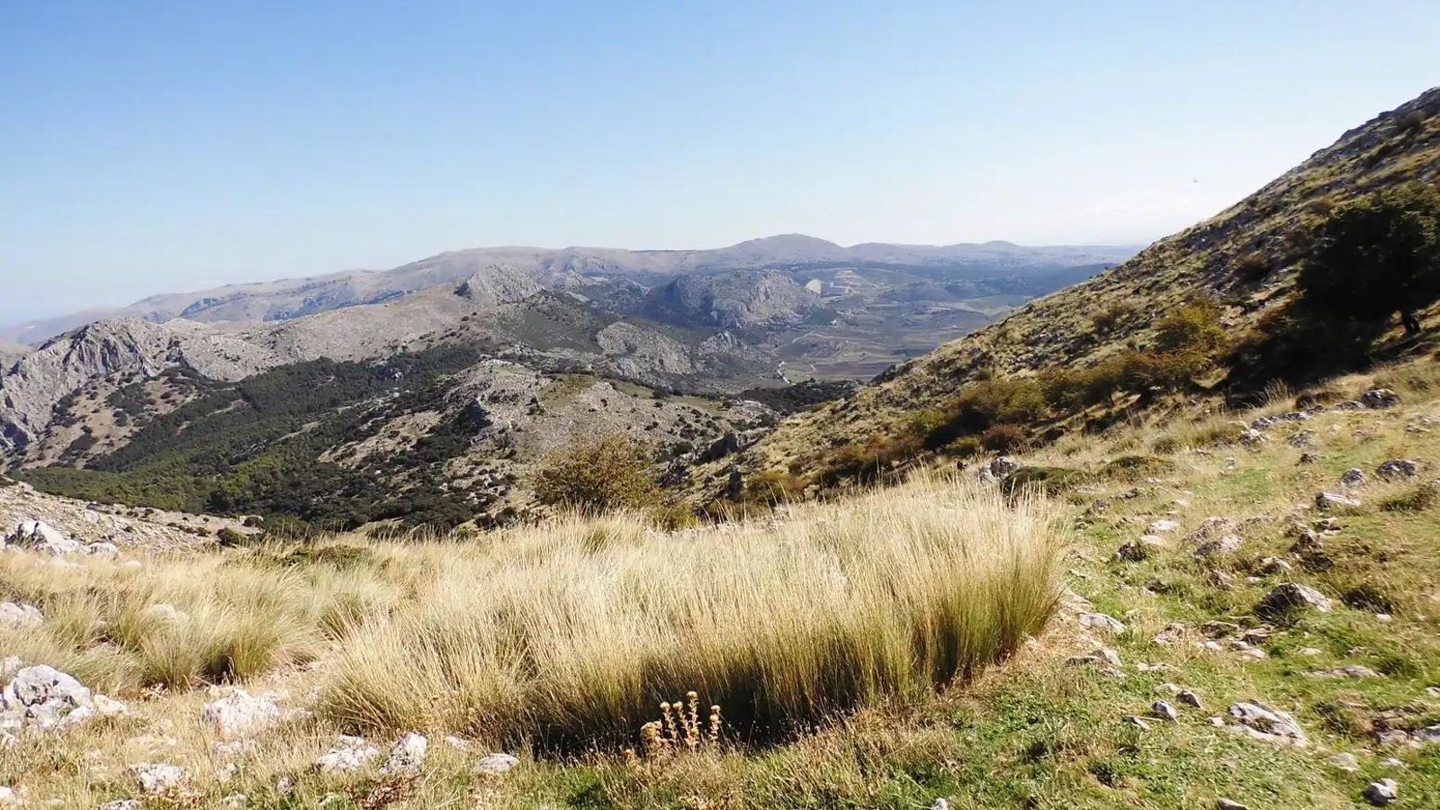Vistas que deja esta ruta de senderismo entre Alfarnate y Villanueva del Rosario. Vistas que deja esta ruta de senderismo entre Alfarnate y Villanueva del Rosario.