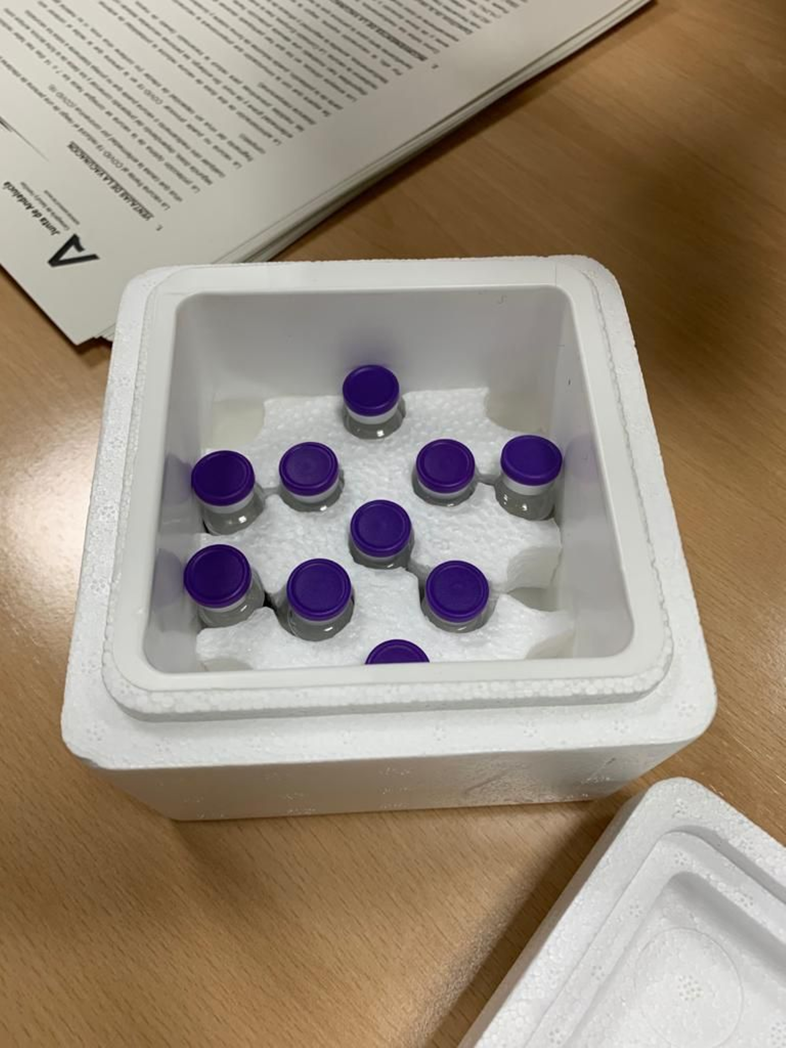 Varias dosis en una de las neveras recibidas en el Hospital Virgen Macarena.