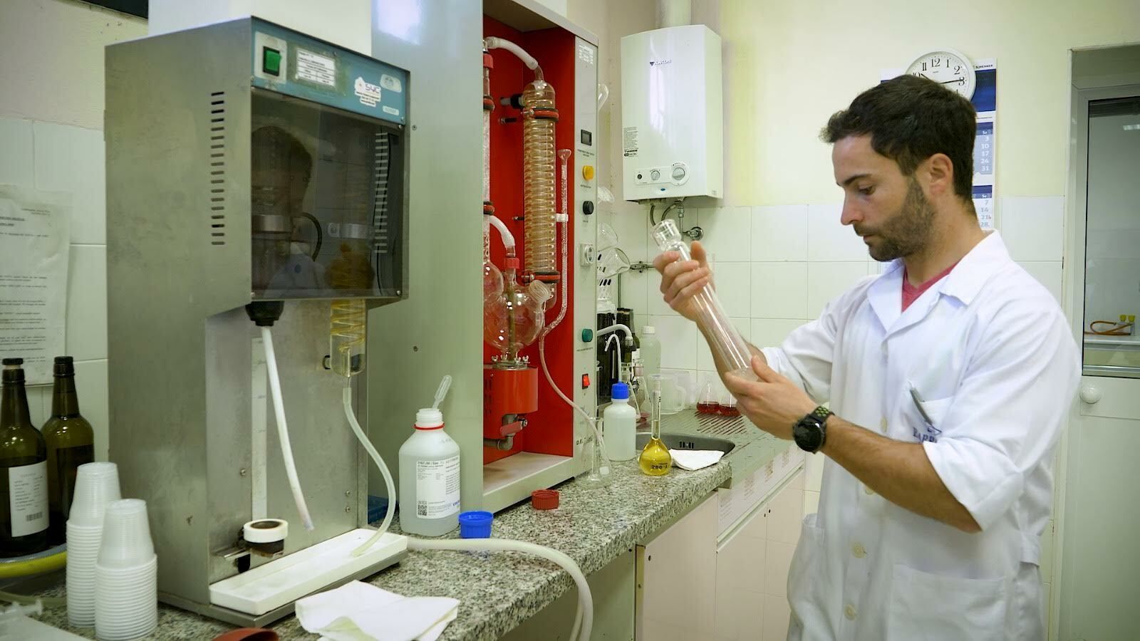 Grado Superior Dual en Vitivinicultura.