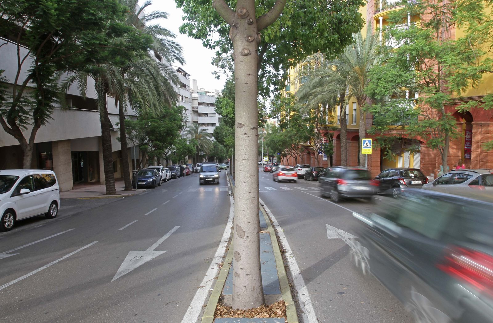 La Avenida Virgen de la Palma de Algeciras.