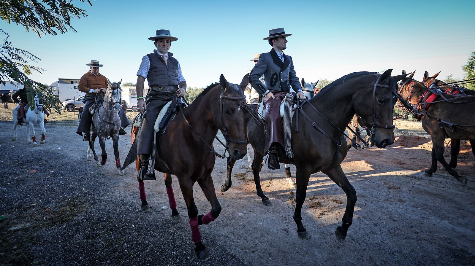 I Ruta de Carruajes Viñas de Jerez