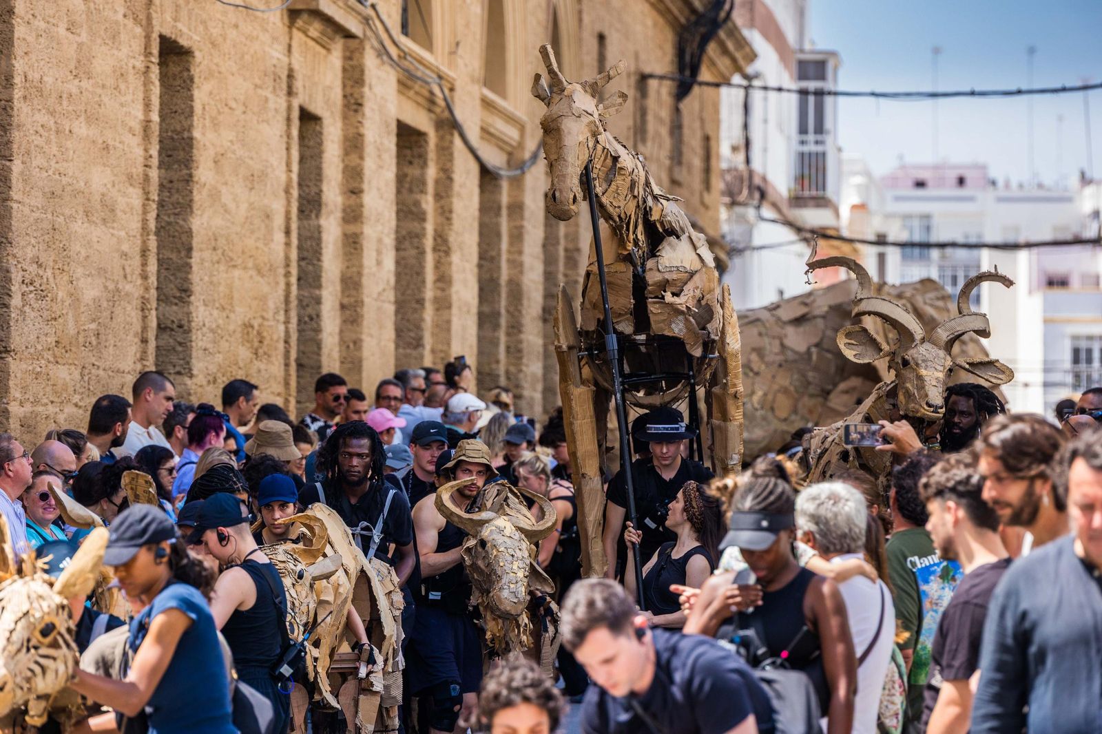 Las imágenes de 'La estampida' en San Fernando
