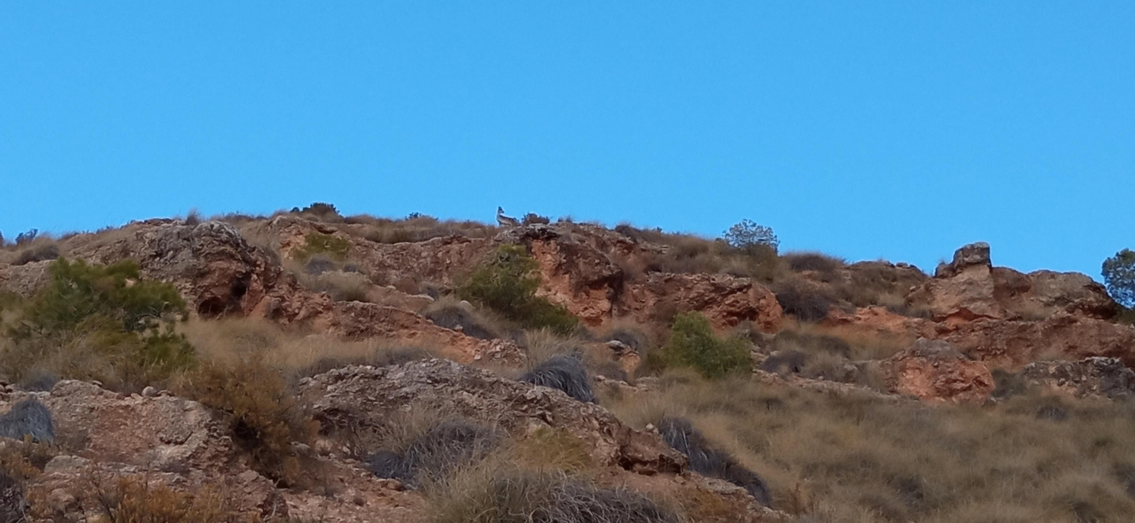 Las imágenes de la ruta Hinojares - Cuenca - Hinojares