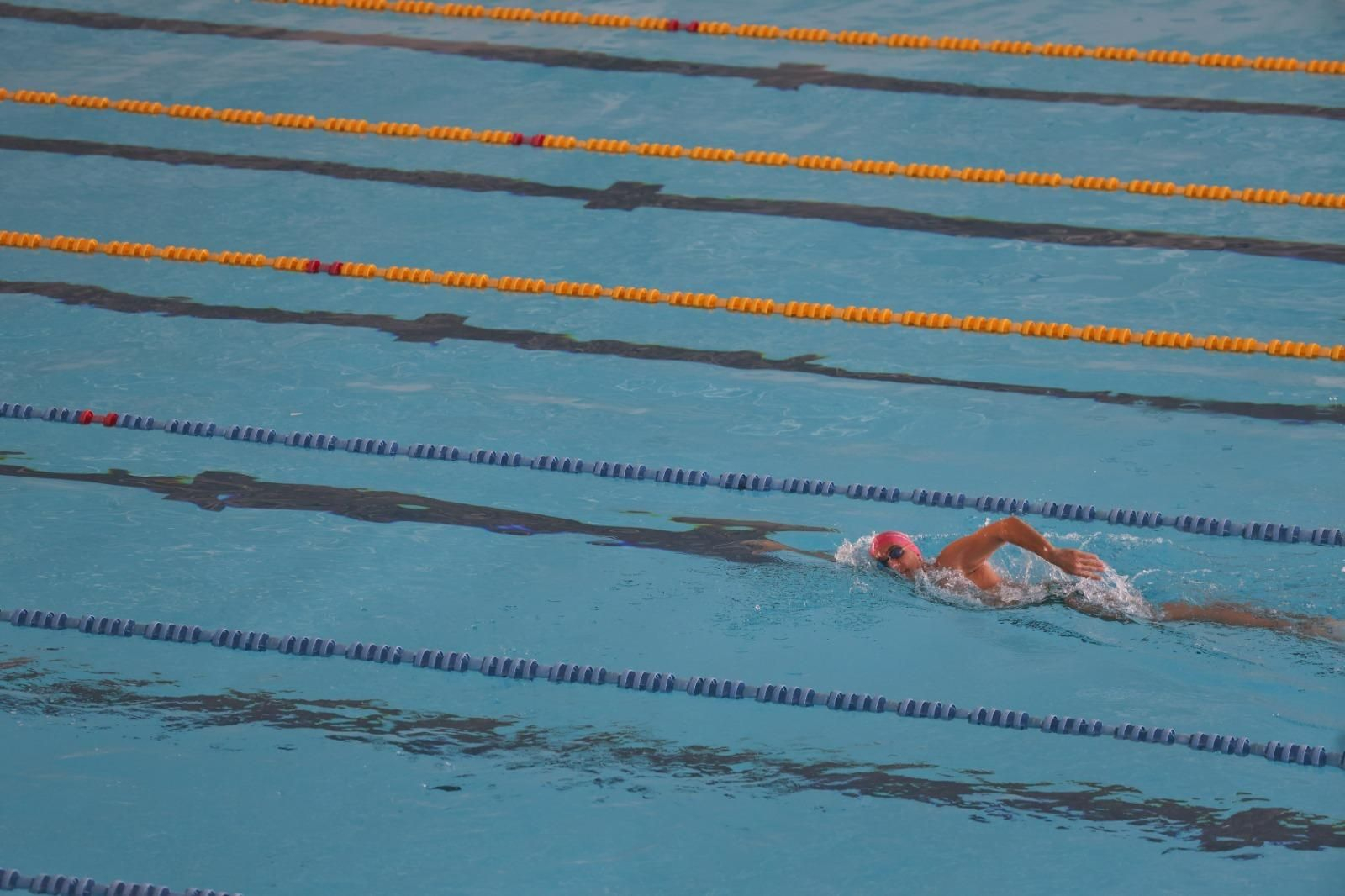 La reapertura de la piscina de 50 metros de Inacua, en imágenes