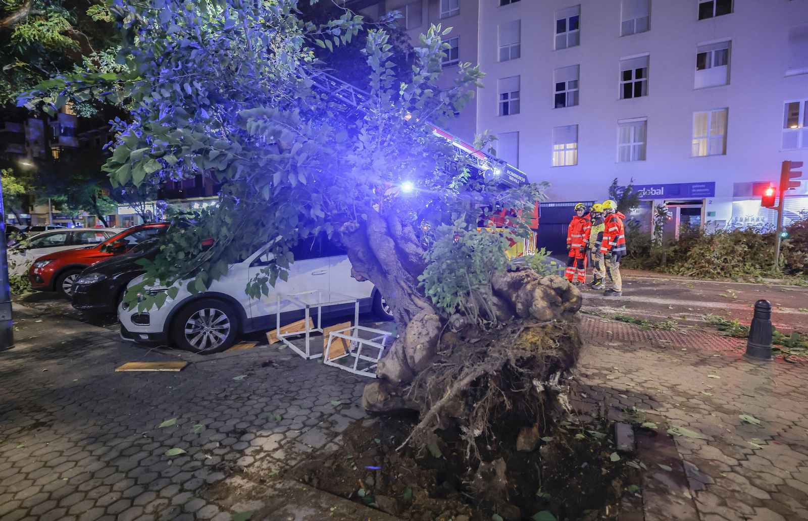 Los efectos de la borrasca 'Bernard' en Sevilla, todas las fotos