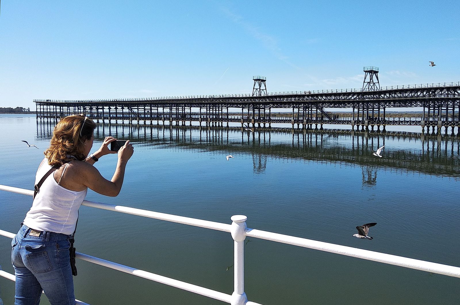 Ambiente primaveral en el día de Andalucía, en imágenes