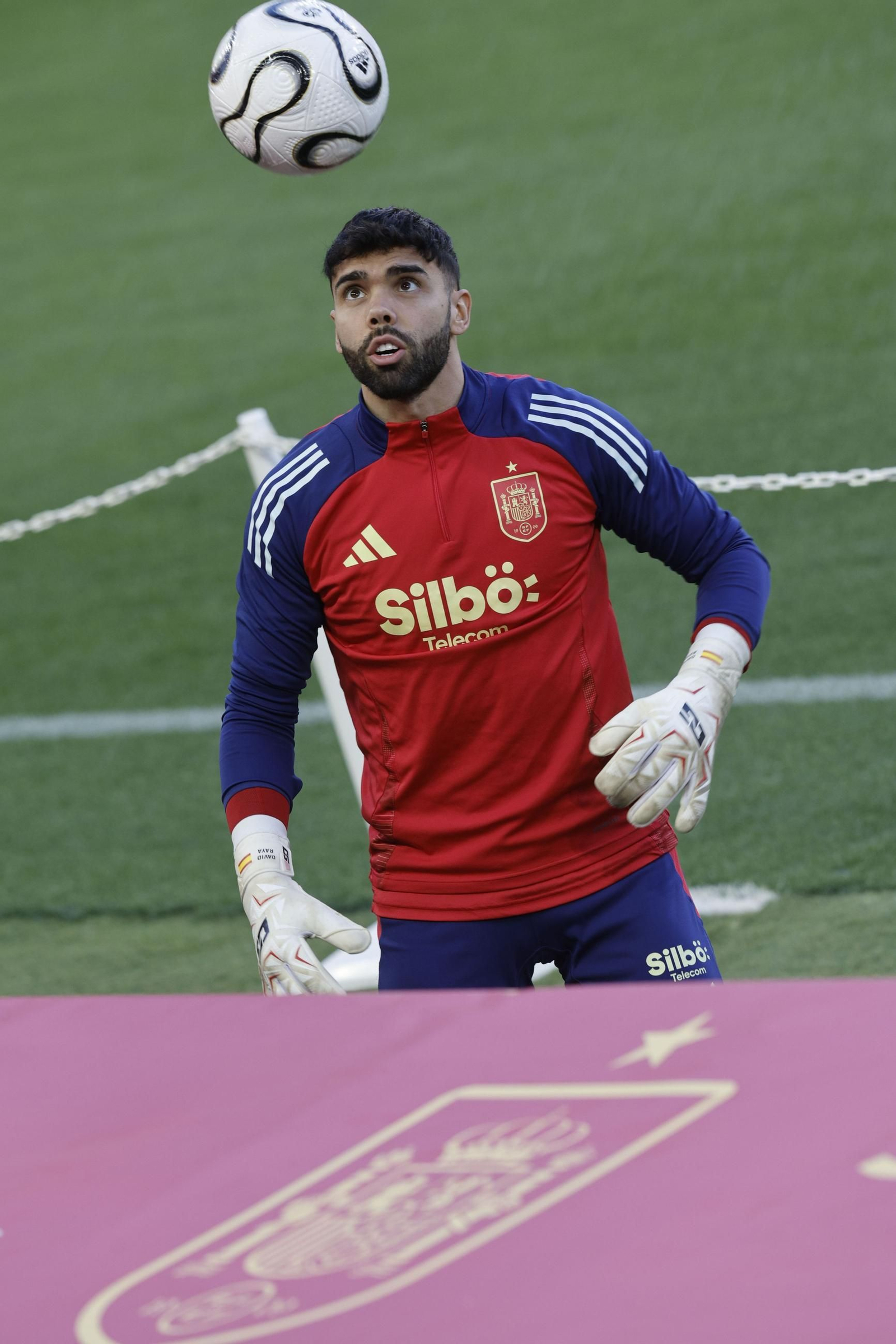 Las fotos de la selección española en Valencia