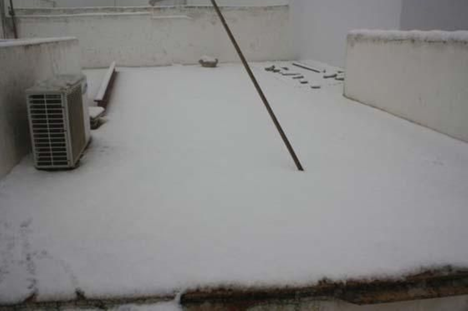 Foto: Carlos Muñoz, Edu, Auxi Nuevo, José Puerto