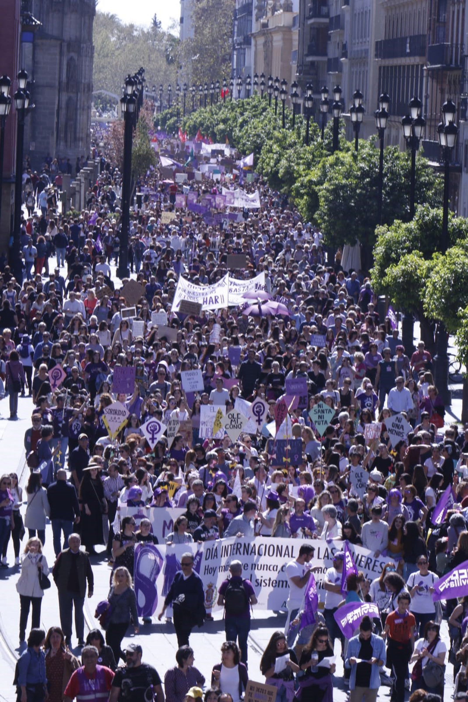 Las imágenes de las manifestaciones del 8M en Sevilla.