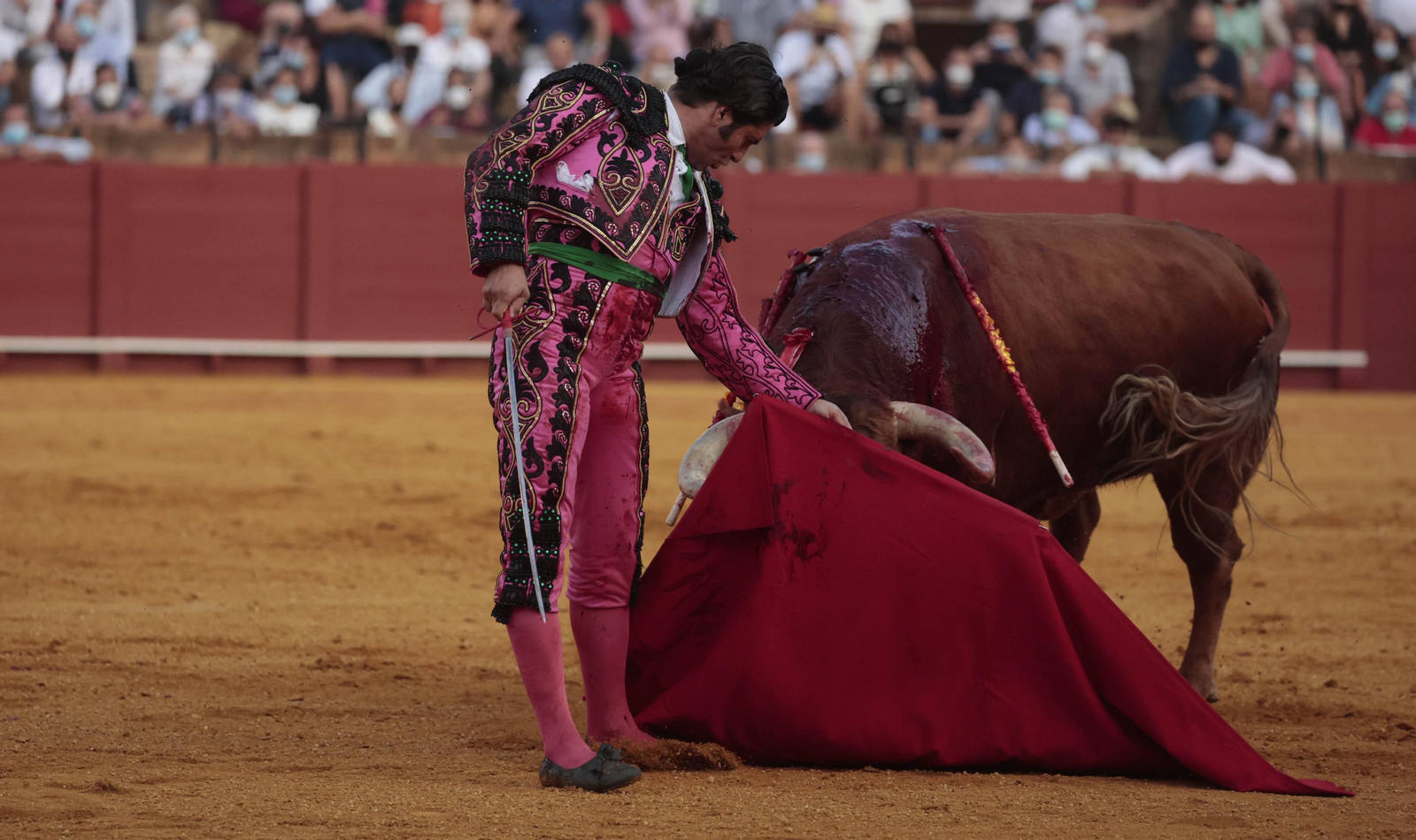 Las imágenes del triunfo de Morante en San Miguel