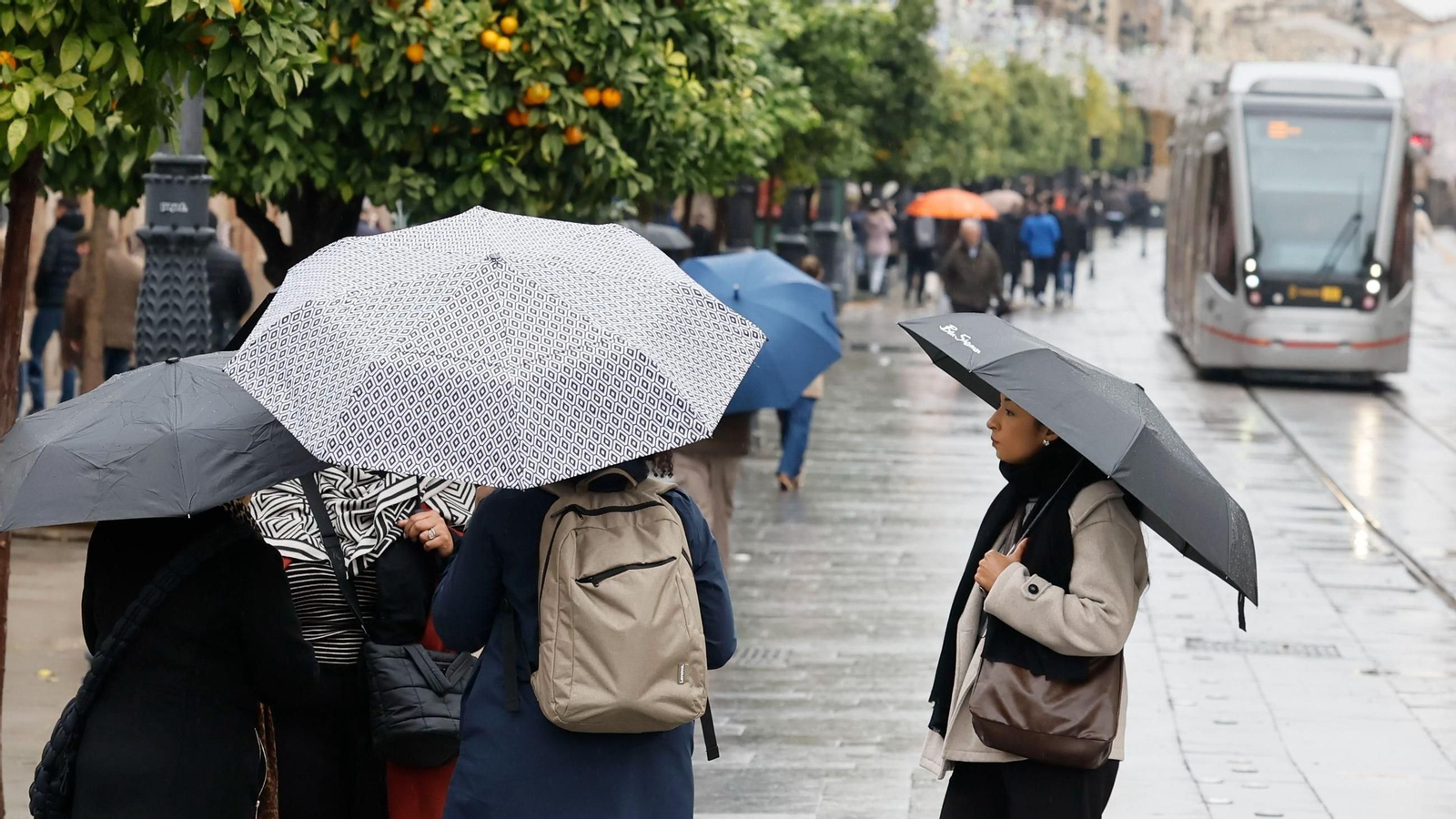 Un día de lluvia en Sevilla