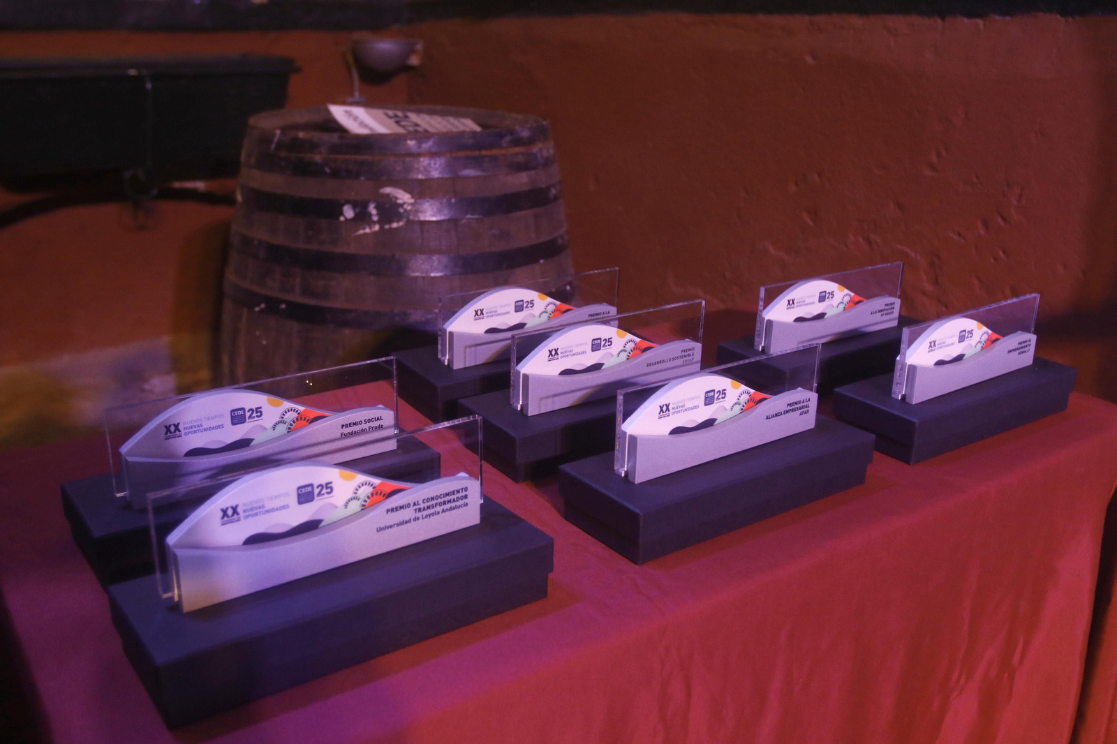 Las fotografías de la entrega de premios de la Fundación CEDE en Córdoba