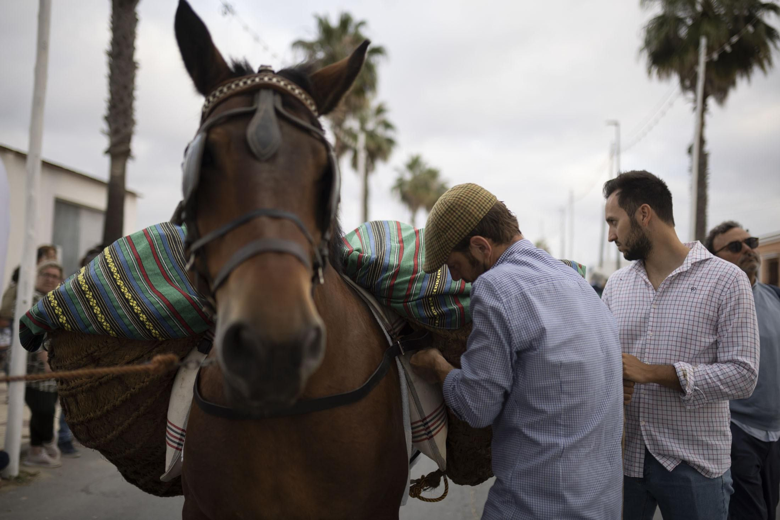 Imágenes del traslado de la Virgen del Rocío de Almonte hasta El Chaparral