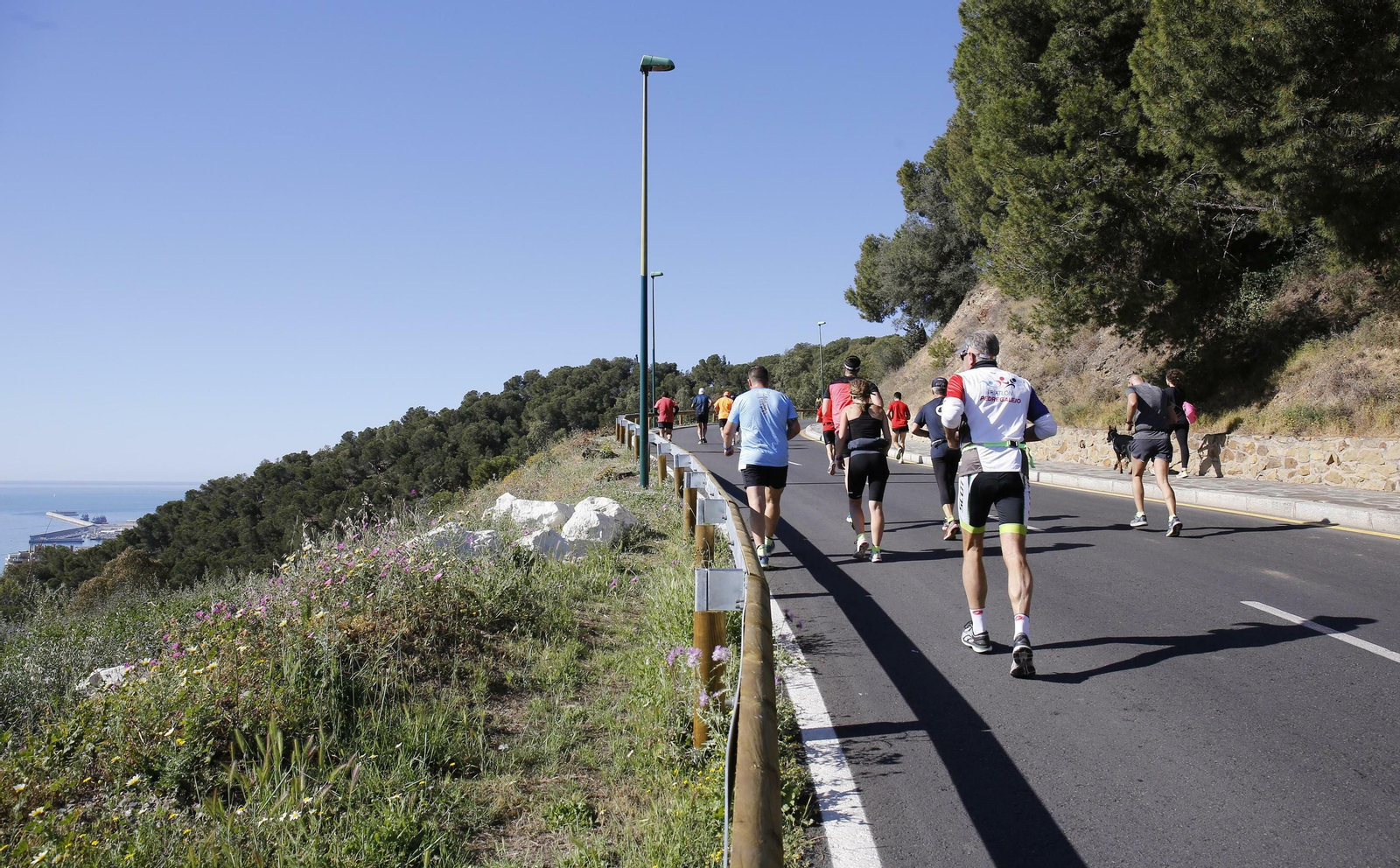 Las fotos de la 42ª Mini Maratón Peña El Bastón