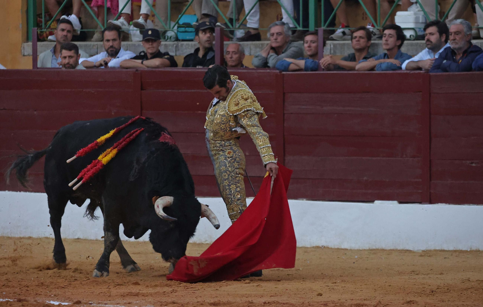 Fotos de la corrida del viernes de la Feria de La Línea: Morante de la Puebla, Talavante y David de Miranda Fotos de la corrida del viernes de la Feria de La Línea: Morante de la Puebla, Talavante y David de Miranda