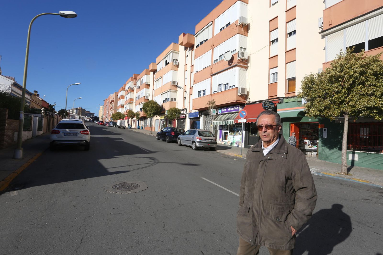 Las plantas trepadoras no cubren la pérgola.