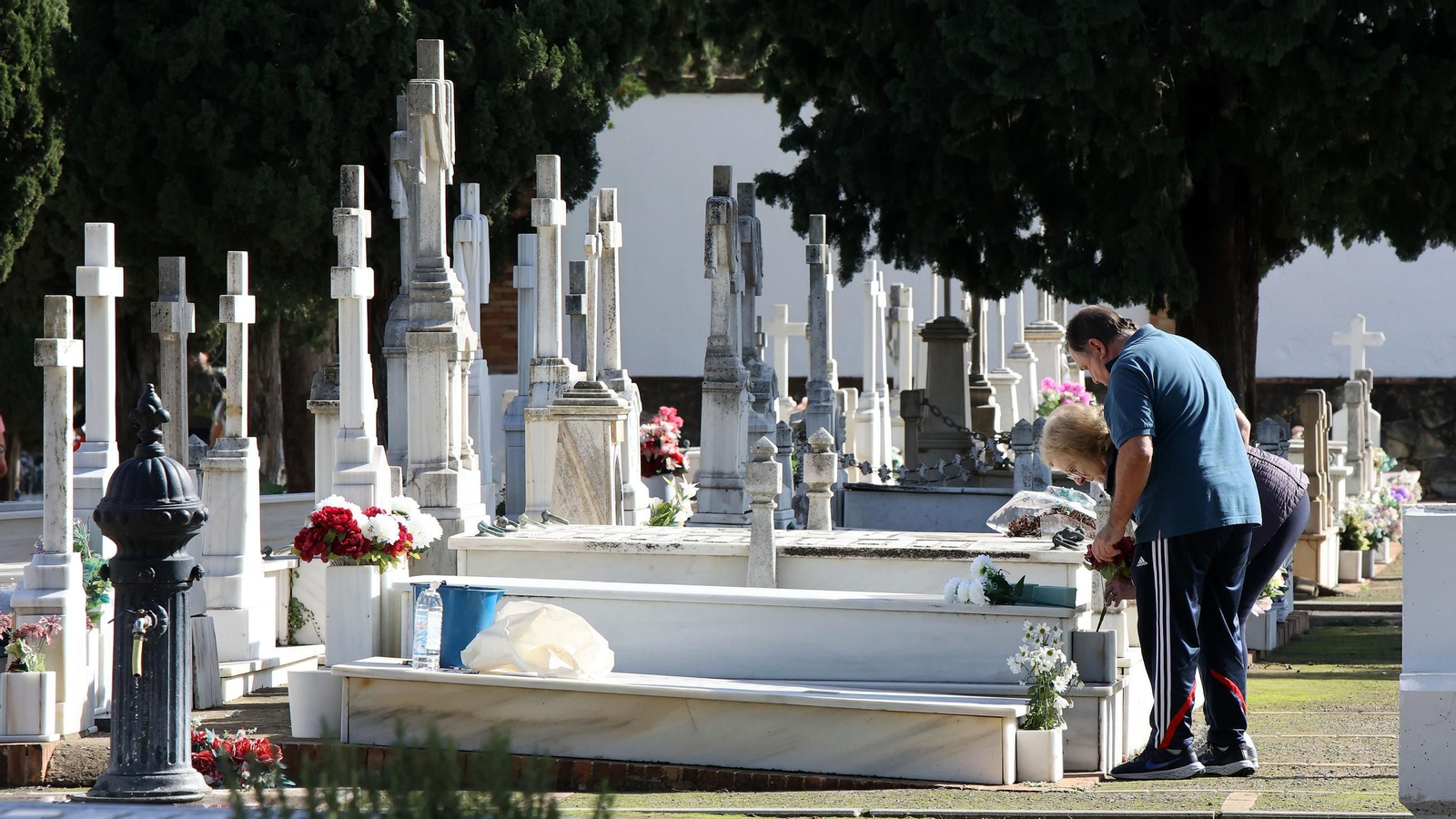 Imágenes del cementerio de Jerez en el Día de los Fieles Difuntos