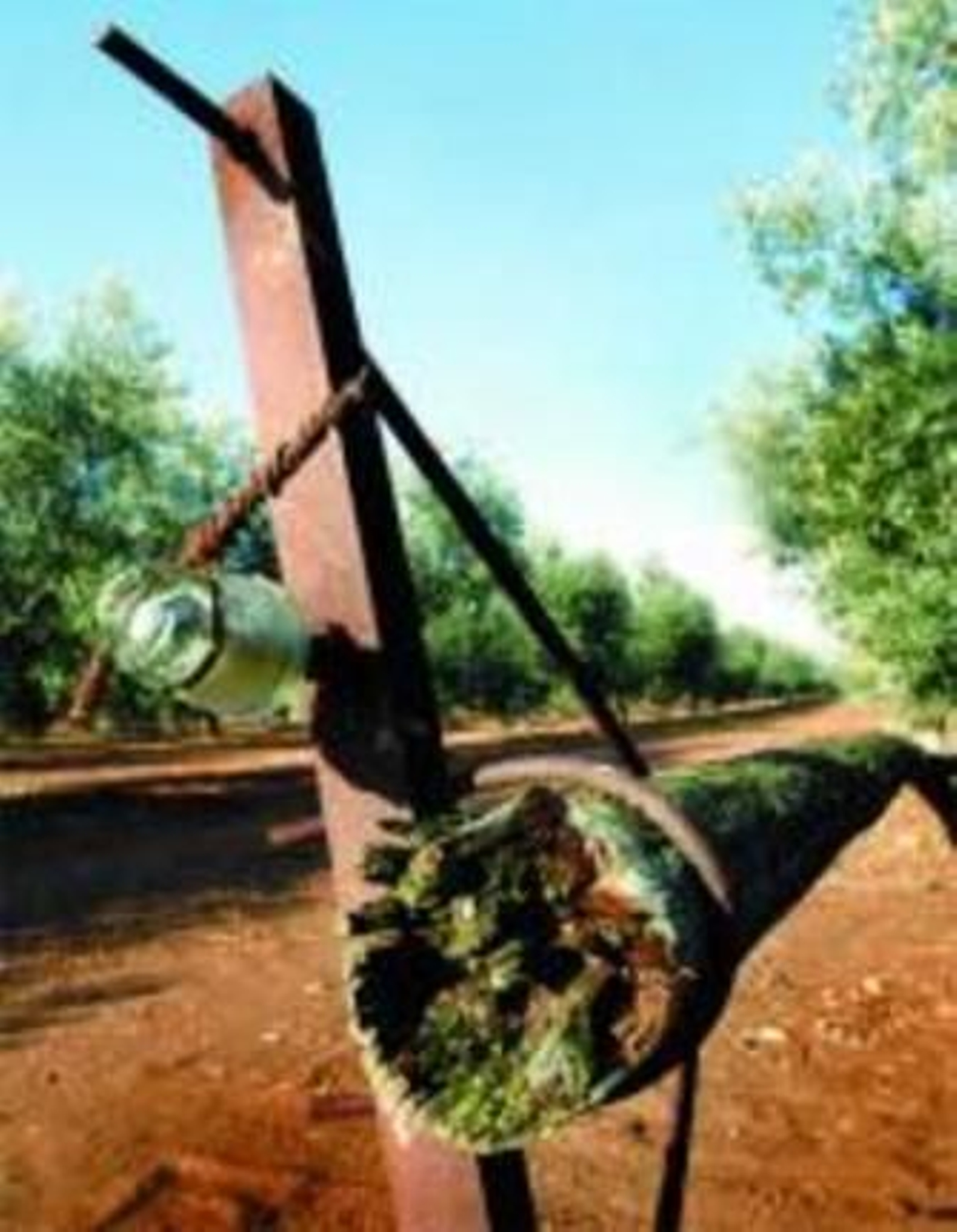 Poste derribado para el robo.