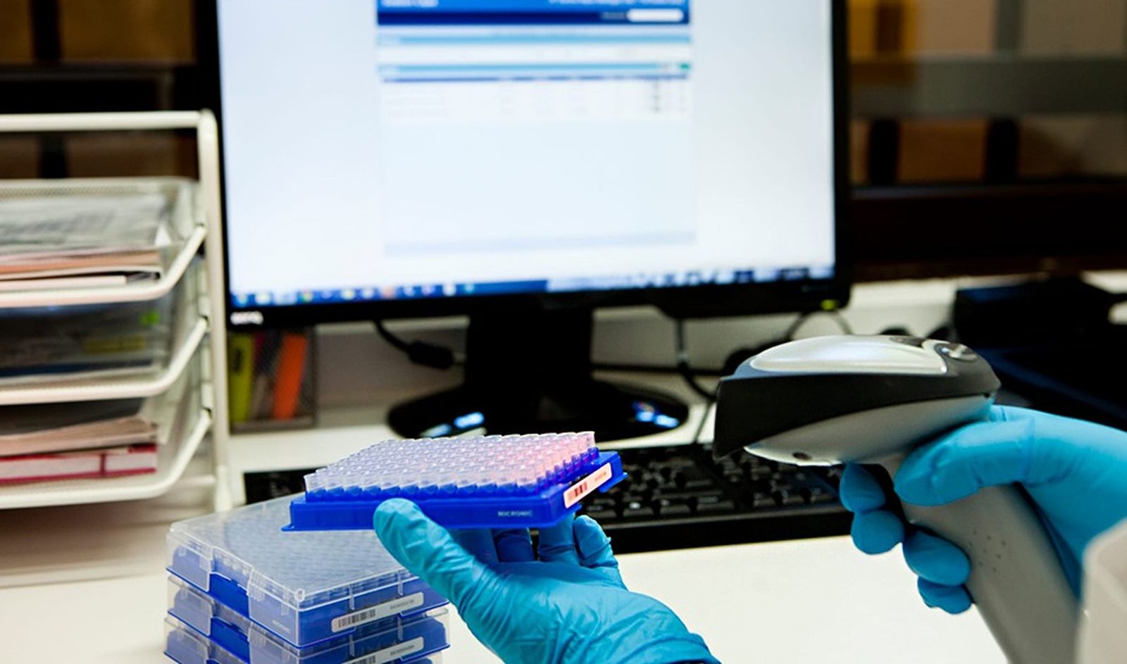 Investigación sanitaria.