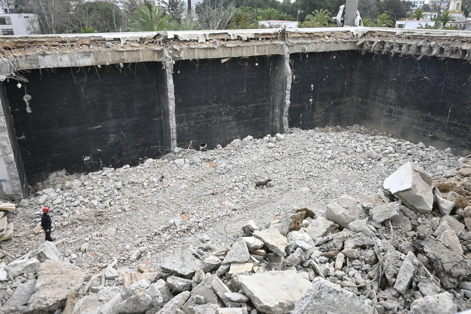 Práctica de la Unidad Canina y el Equipo de Intervención de Bomberos Unidos Sin Fronteras, en imágenes